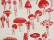 sophie lecuyer picking ink drawing