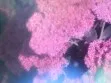 May Waver test image